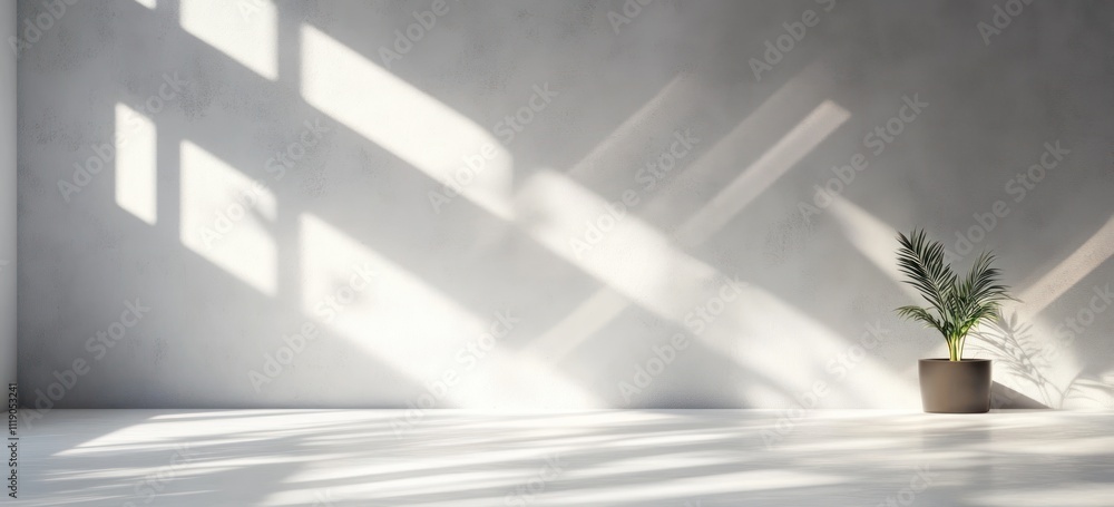 Minimalist Elegant Interior with Dramatic Shadows and Natural Light on White Wall Minimalist Elegant Interior with Dramatic Shadows and Natural Light on White Wall