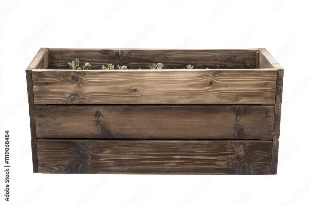 Rustic wooden planter box with green plants on white background Rustic wooden planter box with green plants on white background