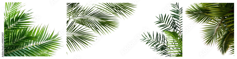 Fototapeta premium PNG Left border tree outdoor set on transparent background