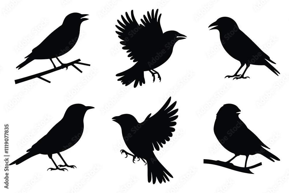 Obraz premium Set of finch bird silhouettes in various poses. isolated vector on white background.