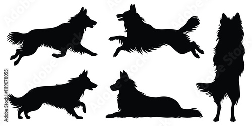 Set of border collie dog silhouettes in various poses. isolated vector on white background.