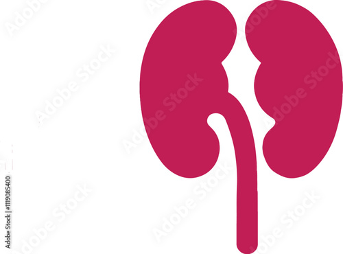 isolated kidney icon, world kidney day, vector kidney,  kidney illustration, healthcare icon, kidney symbol, kidney logo, nephrology icon, kidney vector, symbol, kidney awareness, kidney graphic