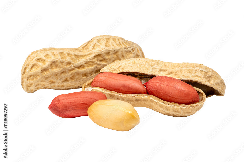 ピーナッツ / peanuts ピーナッツ / peanuts