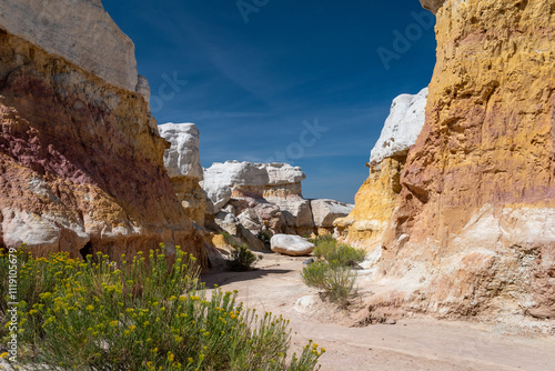 Exploring vibrant rock formations and desert flora in a colorful canyon on a clear day, showcasing nature's artistry and geological wonders. Paint Mines Park in Colorado.  photo