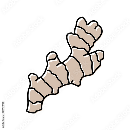 ginger root ayurvedic herb color icon vector. ginger root ayurvedic herb sign. isolated symbol illustration