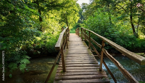 Wooden bridge over a serene forest stream.