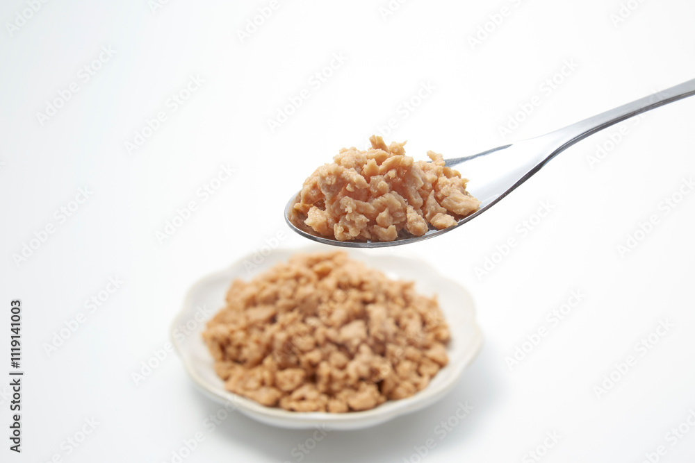 皿盛りされた大豆ミートが白背景に置かれた様 皿盛りされた大豆ミートが白背景に置かれた様