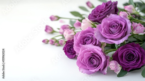 Flowers composition with purple roses and lisianthus on white background, copy space