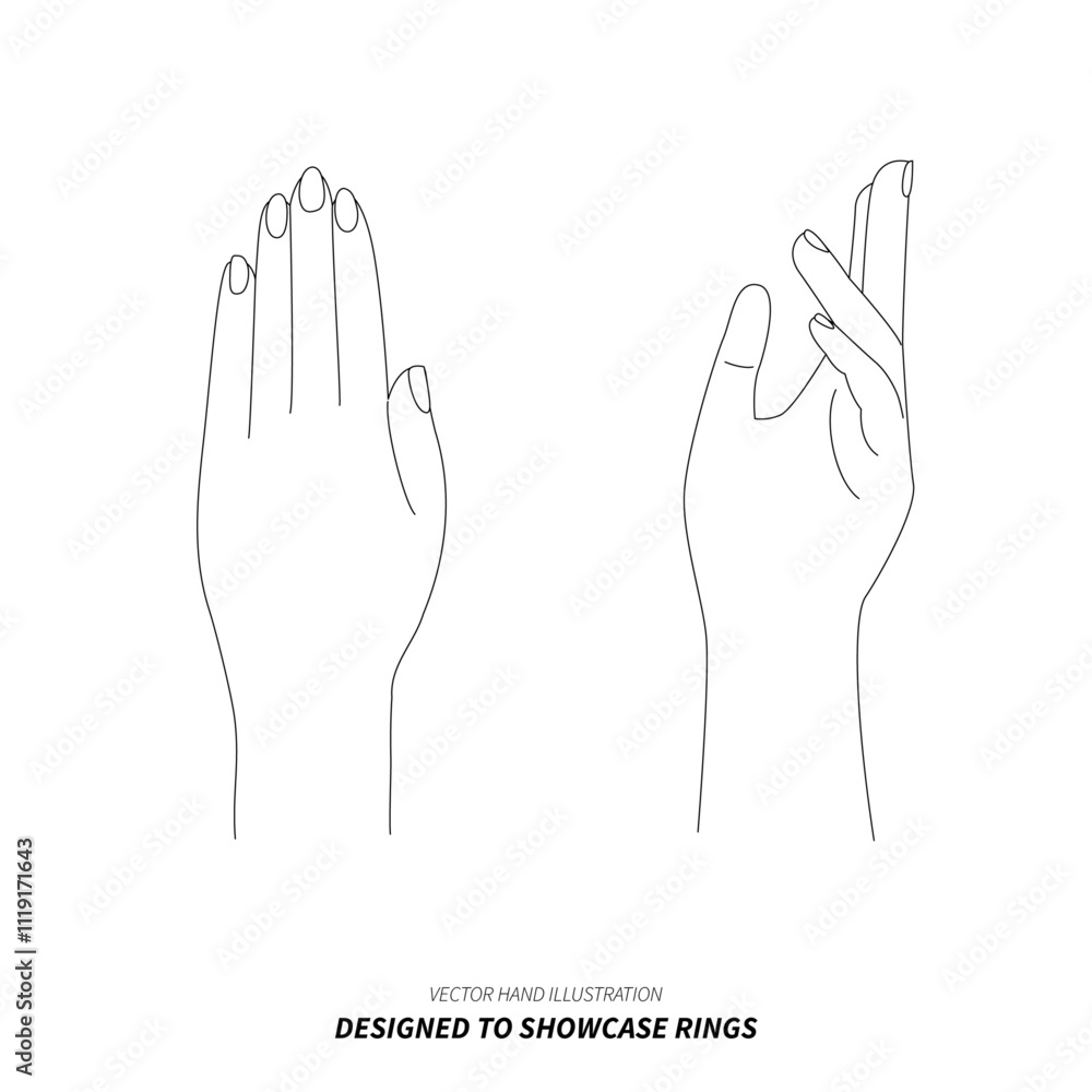 Vector hand illustration designed to showcase rings Vector hand illustration designed to showcase rings