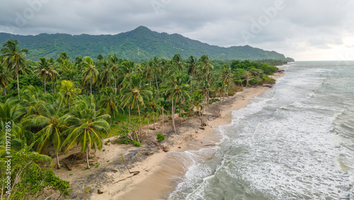 Tableau sur toile Tranquil Beach Scene in Palomino, La Guajira, Colombia with Lush Palm Trees and