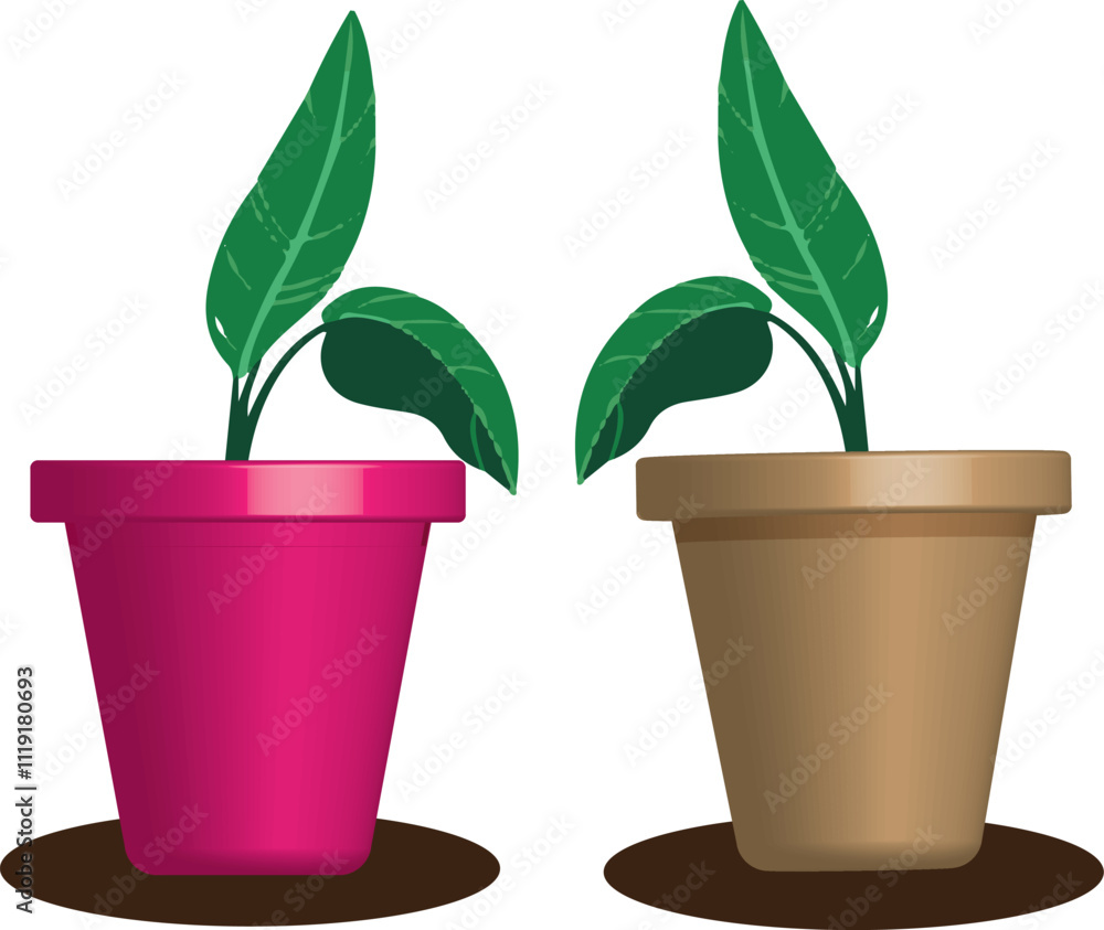 Beautiful plant Design Beautiful plant Design