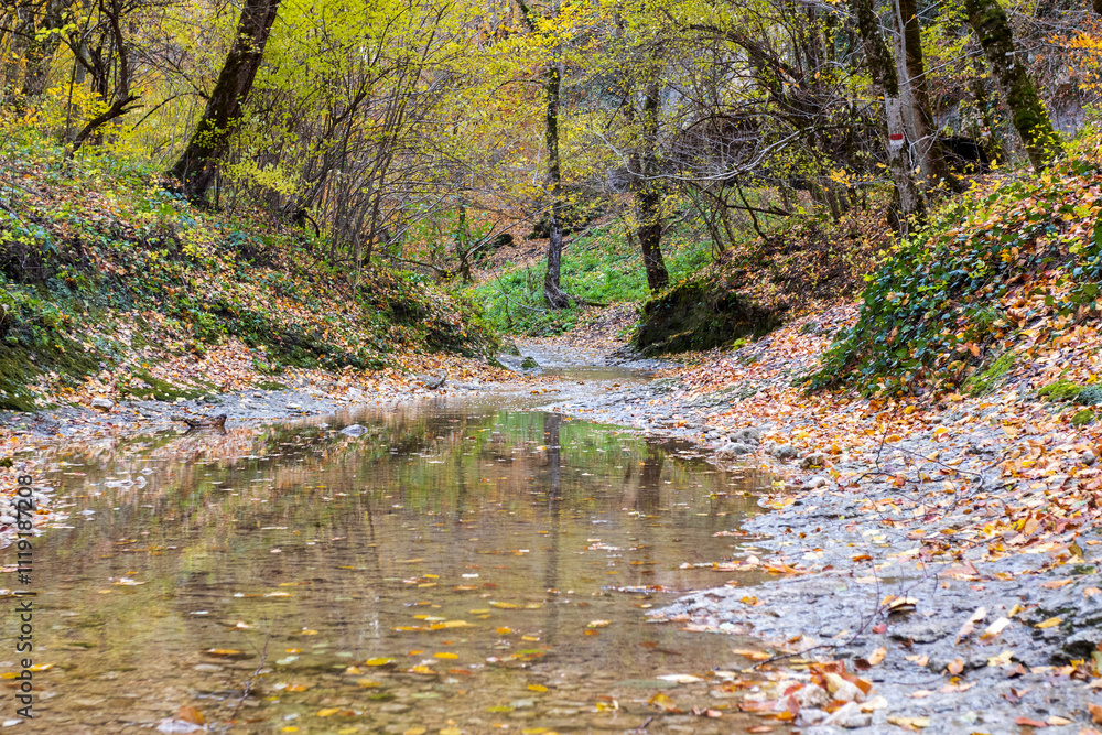 road, river, nature park, cloudy day, walk along the riverbed with an overview of the area road, river, nature park, cloudy day, walk along the riverbed with an overview of the area