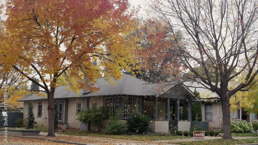 Static wide shot of a brick home with leaves falling in autumn Static wide shot of a brick home with leaves falling in autumn