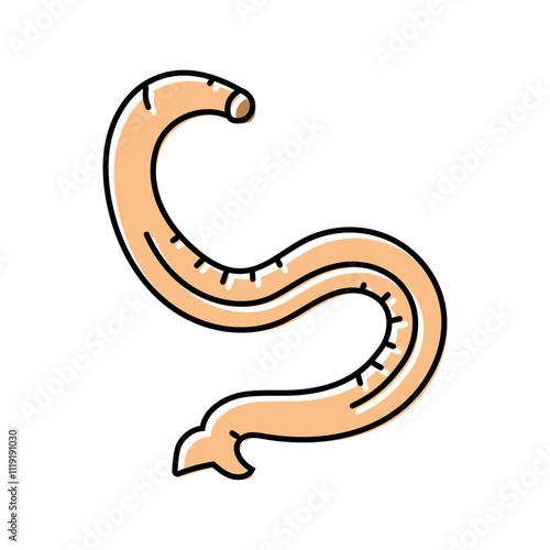 hookworm parasite color icon vector. hookworm parasite sign. isolated symbol illustration