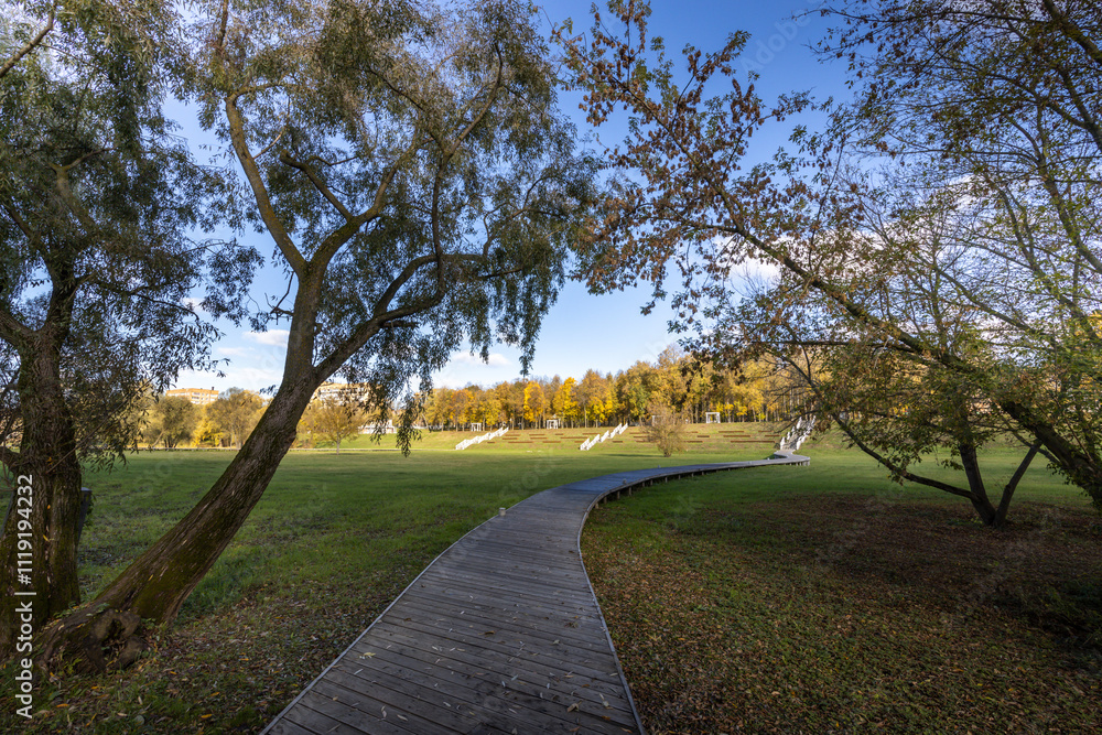 Fototapeta premium A path in a park with trees and a bench