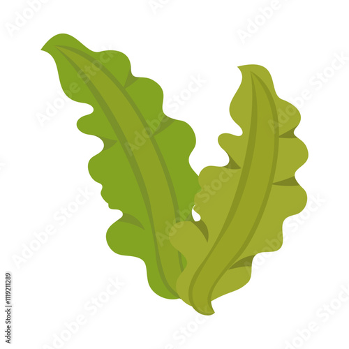 マコンブ。フラットなベクターイラスト。
Sweet kelp. Flat vector illustration.