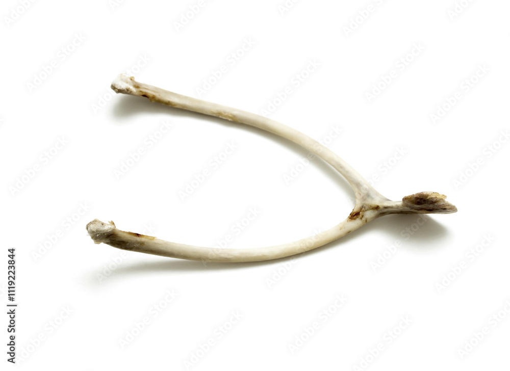 Wish bone Wish bone