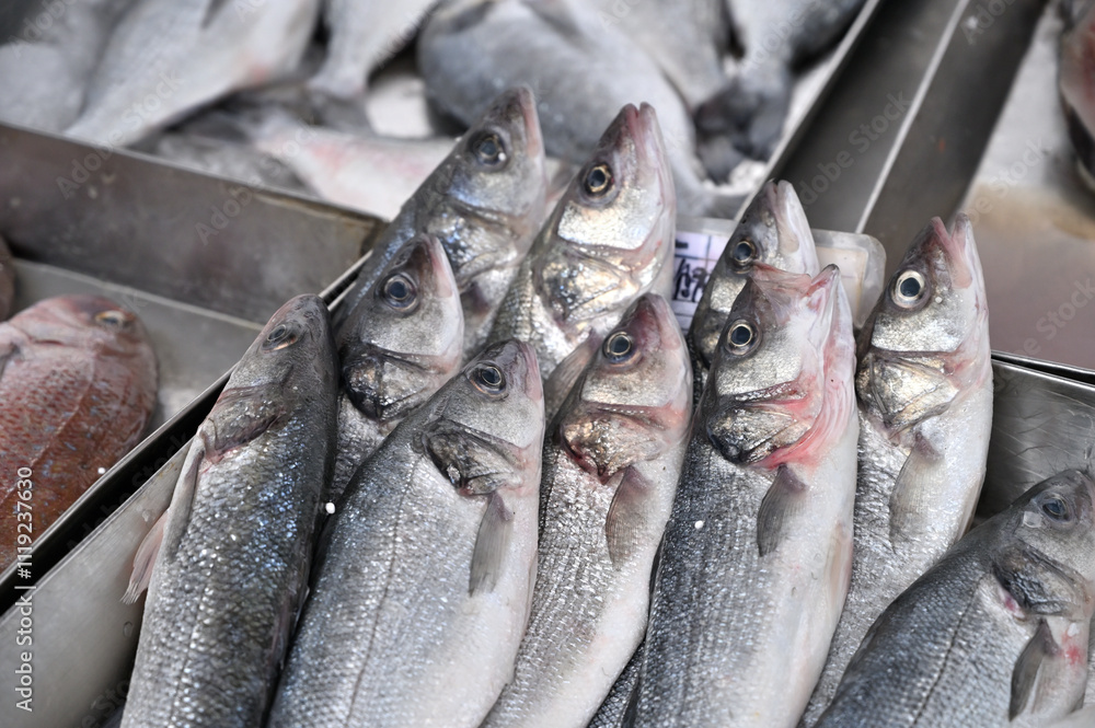 Obraz premium Fresh fish in ice