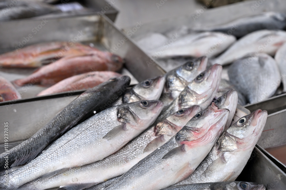 Obraz premium Fresh fish in ice