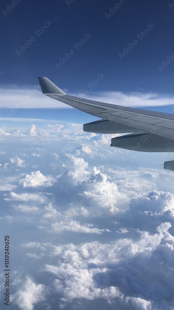 Obraz premium airplane shot