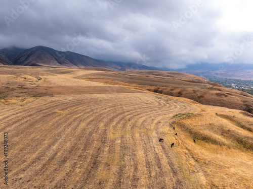 View of autumn landcape with mountains and hills. Hourses graze in the field. Large clouds in the sky. Vivid natural scenery photo.