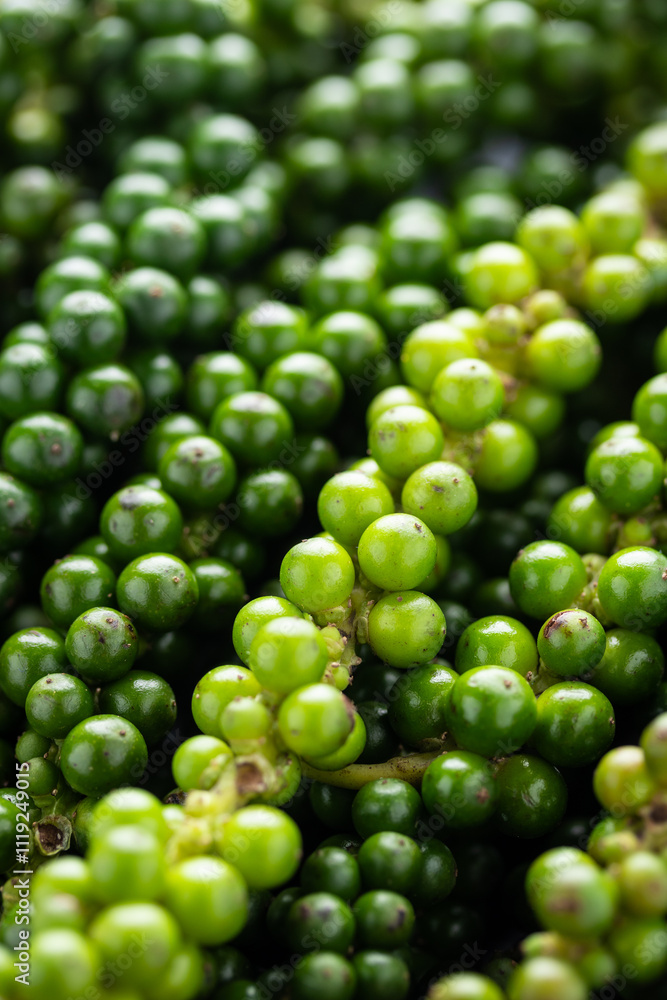 Heap of Fresh Green Young Peppercorns. Close-up Heap of Fresh Green Young Peppercorns. Close-up