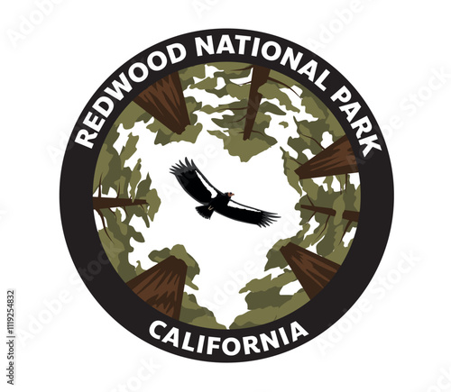 Redwood NATIONAL PARK California Vector Logo Vulture Condor