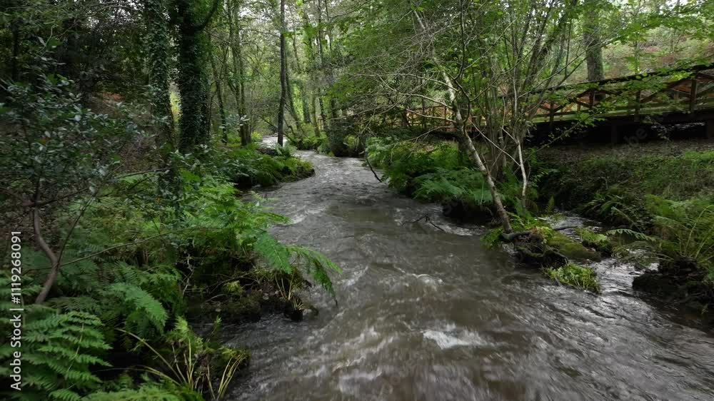 Anllons River Flowing Along The Forest And River Path In A Laracha, Spain. - low aerial shot Anllons River Flowing Along The Forest And River Path In A Laracha, Spain. - low aerial shot