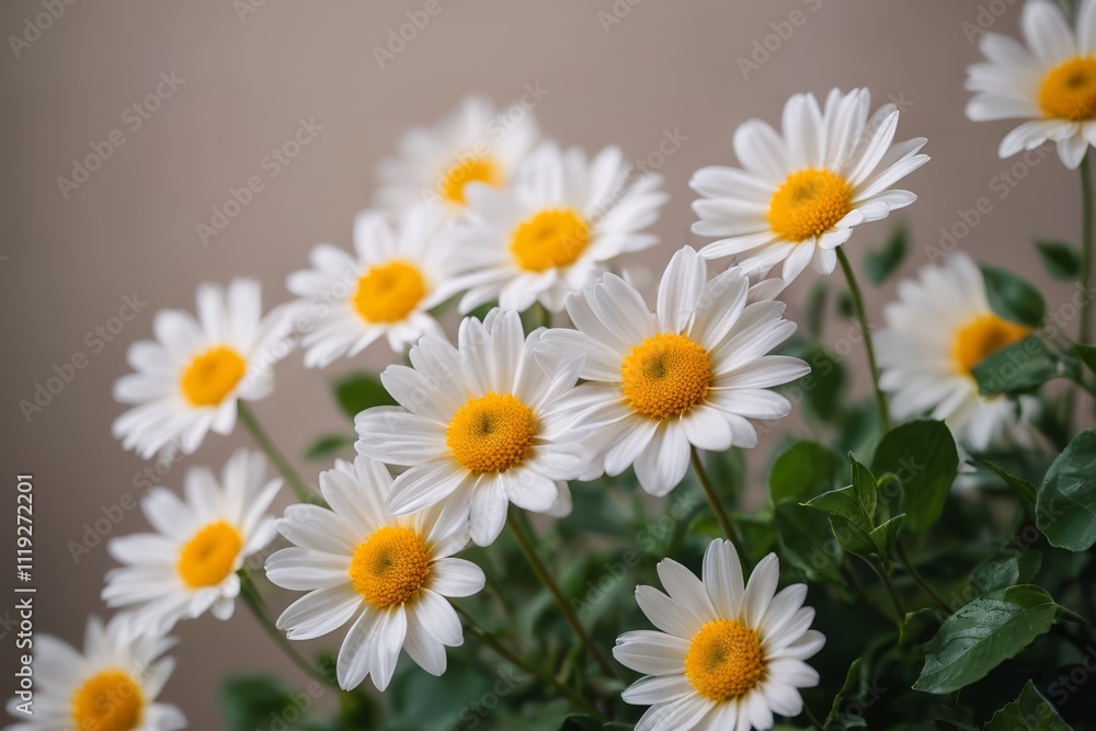 there are many white and yellow flowers in a vase there are many white and yellow flowers in a vase