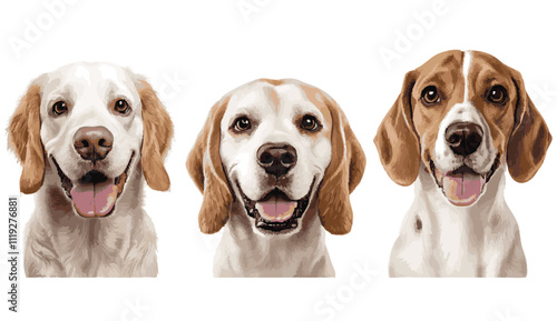 Three purebred Dachshund puppies sit in a row on a white background