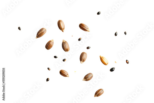 Sunflower seeds, black sesame seeds, scattering,  sprinkle,  scattered,  grains,  seeds,  food,  healthy,  natural,  organic,  texture,  background,  photography,  close-up,  macro,  isolated,  raw.