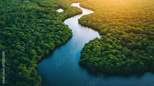 River delta with intricate waterways surrounded by lush vegetation