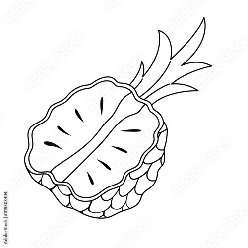 Line art hand drawn doodle half pineapple icon. Linear fruit drawing. Outline clipart fruit