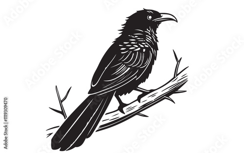 Greater Coucal Vector Illustration Black Design on a Transparent Background