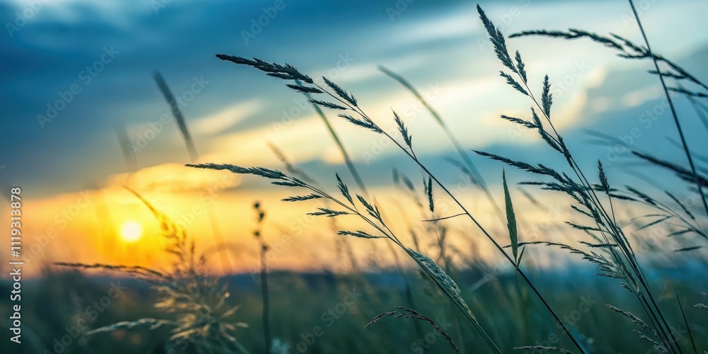 Serene Sunset Silhouette of Tall Grasses Swaying Gently in the Breeze Serene Sunset Silhouette of Tall Grasses Swaying Gently in the Breeze