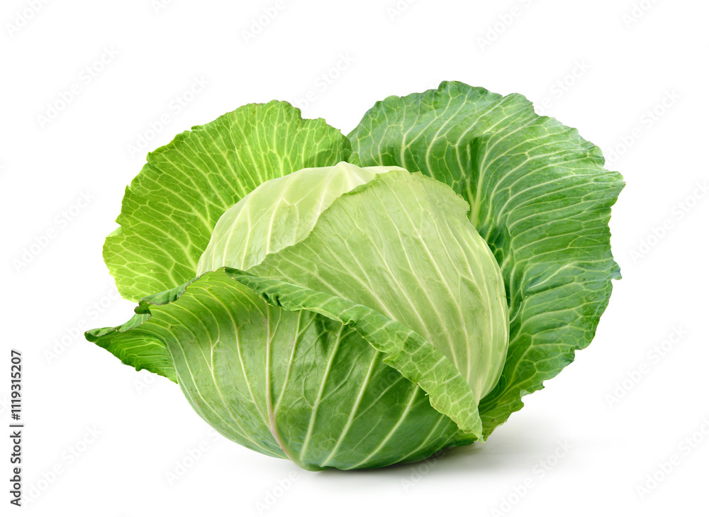 Fresh cabbage isolated on white background. Clipping path. Fresh cabbage isolated on white background. Clipping path.
