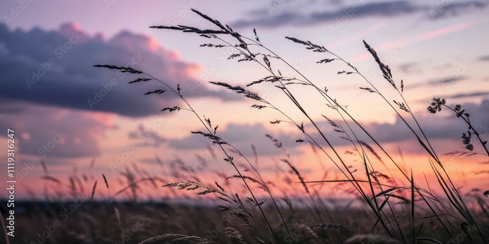Obraz premium Serene Sunset Silhouette Tall Grasses Swaying Gently in the Evening Breeze, Painted Against a Softly Lit Sky