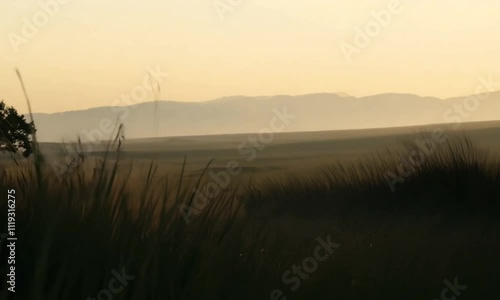 sunrise over the river