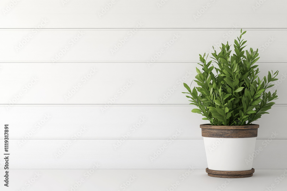 Empty room with clean white wall, rustic accents, featuring a plant mockup for a fresh, minimalist aesthetic. Empty room with clean white wall, rustic accents, featuring a plant mockup for a fresh, minimalist aesthetic.