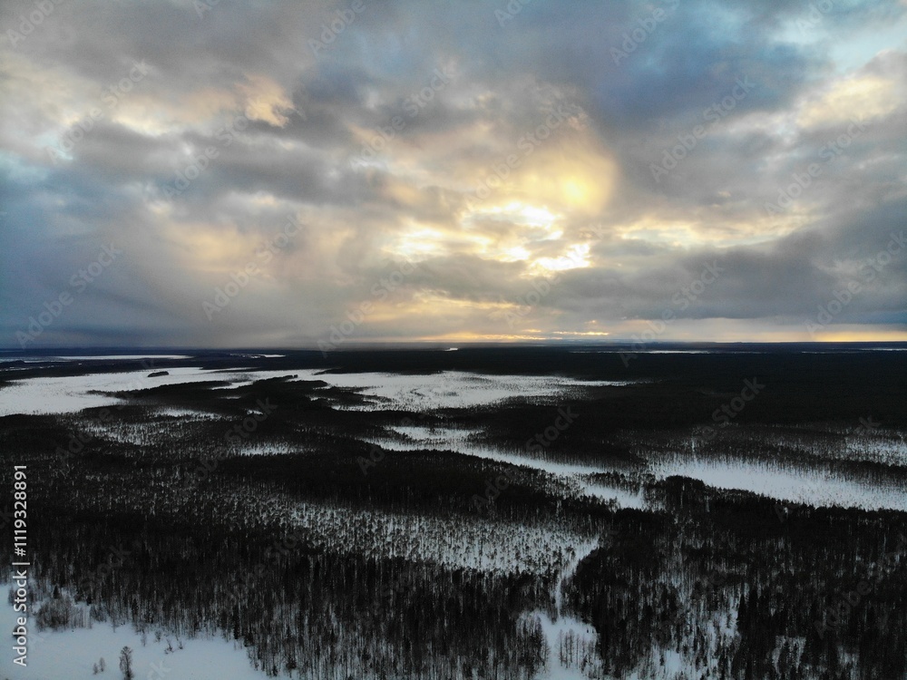 Obraz premium Forest swamp in winter season