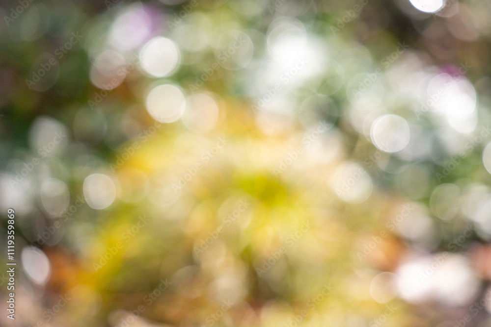 A blurry image of a green background with pink flowers A blurry image of a green background with pink flowers