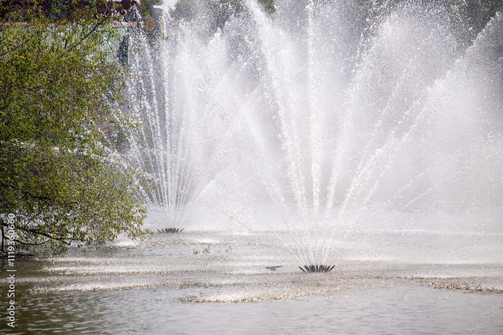 city fountain in pond park nature in summer city fountain in pond park nature in summer