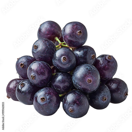 Extreme front view of a hyperrealistic bunch of sugarberry isolated on a white transparent background photo