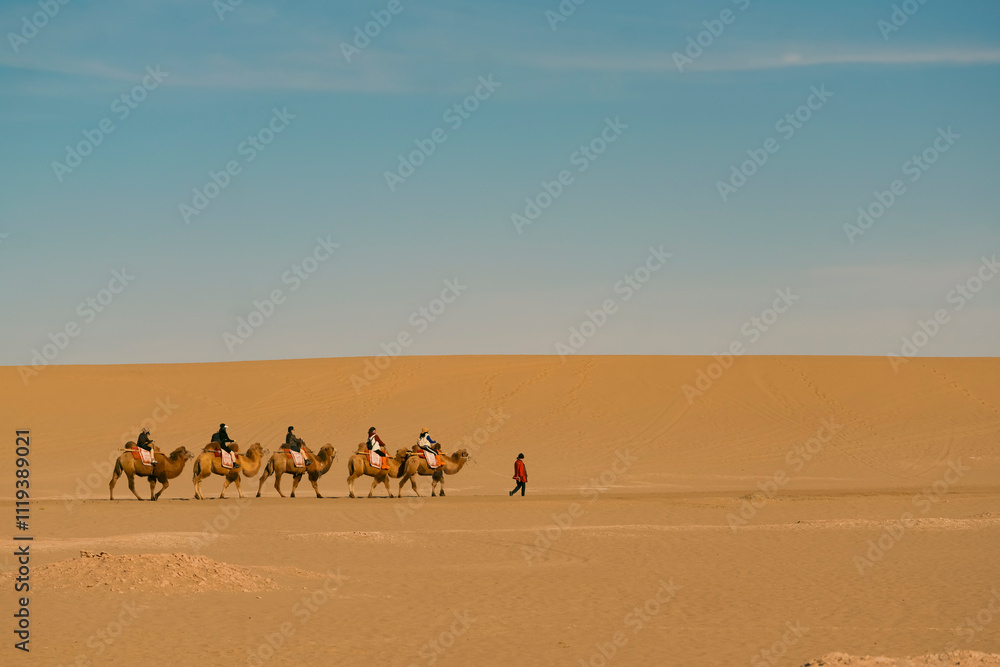 Camel in the Desert