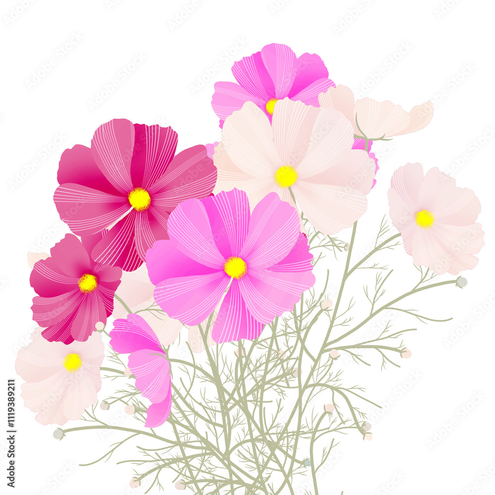 秋桜の花束 秋桜の花束