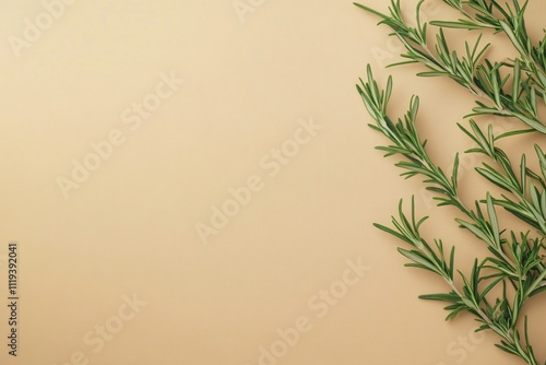 Fresh Green Rosemary Sprigs on Smooth Beige Background