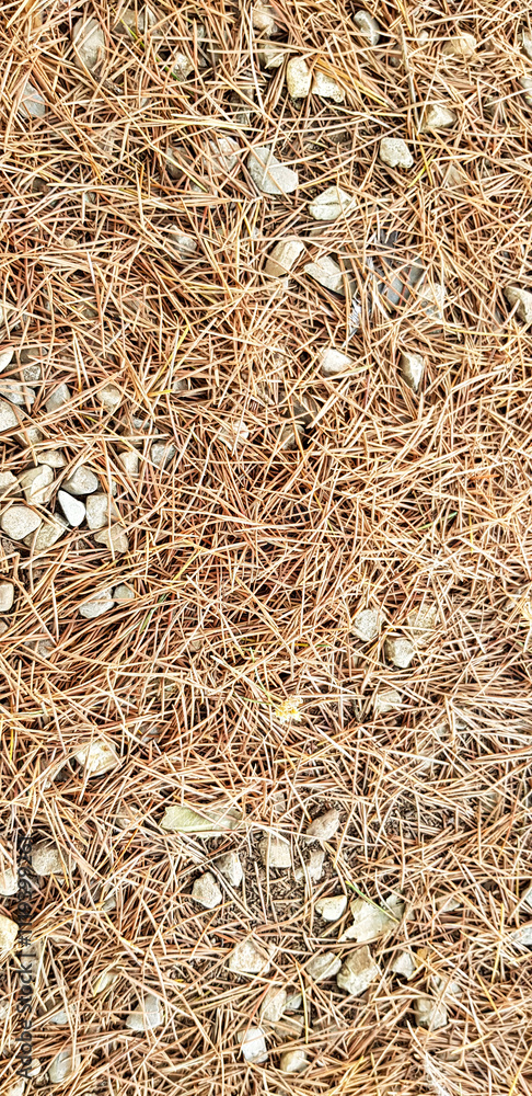 This is a detailed close up of a pile that consists of straw and rocks This is a detailed close up of a pile that consists of straw and rocks