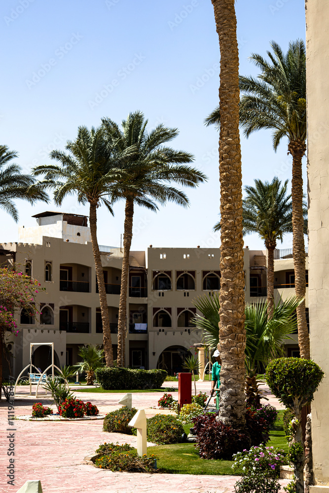 A lovely row of tall palm trees positioned in front of a building A lovely row of tall palm trees positioned in front of a building