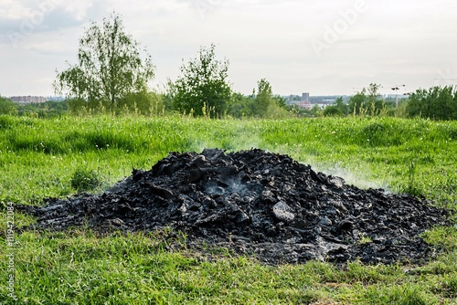 A mound of ashes from a controlled burn rests on vibrant green grass. photo