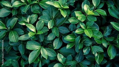 Wallpaper Mural Lush Green Foliage: A Textured Tapestry of Nature's Beauty Torontodigital.ca